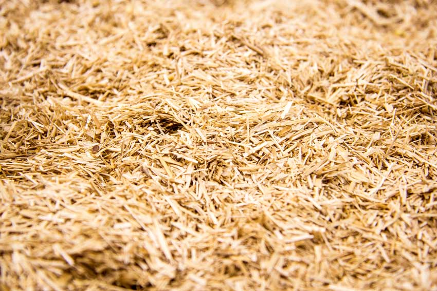 bunny-bedding-linum-us-7538351767807_5.jpg