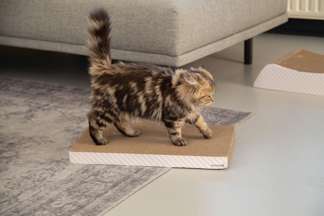 beeztees-kitten-2in1-kratzbrett-uma-us-7538376474879_1.jpg