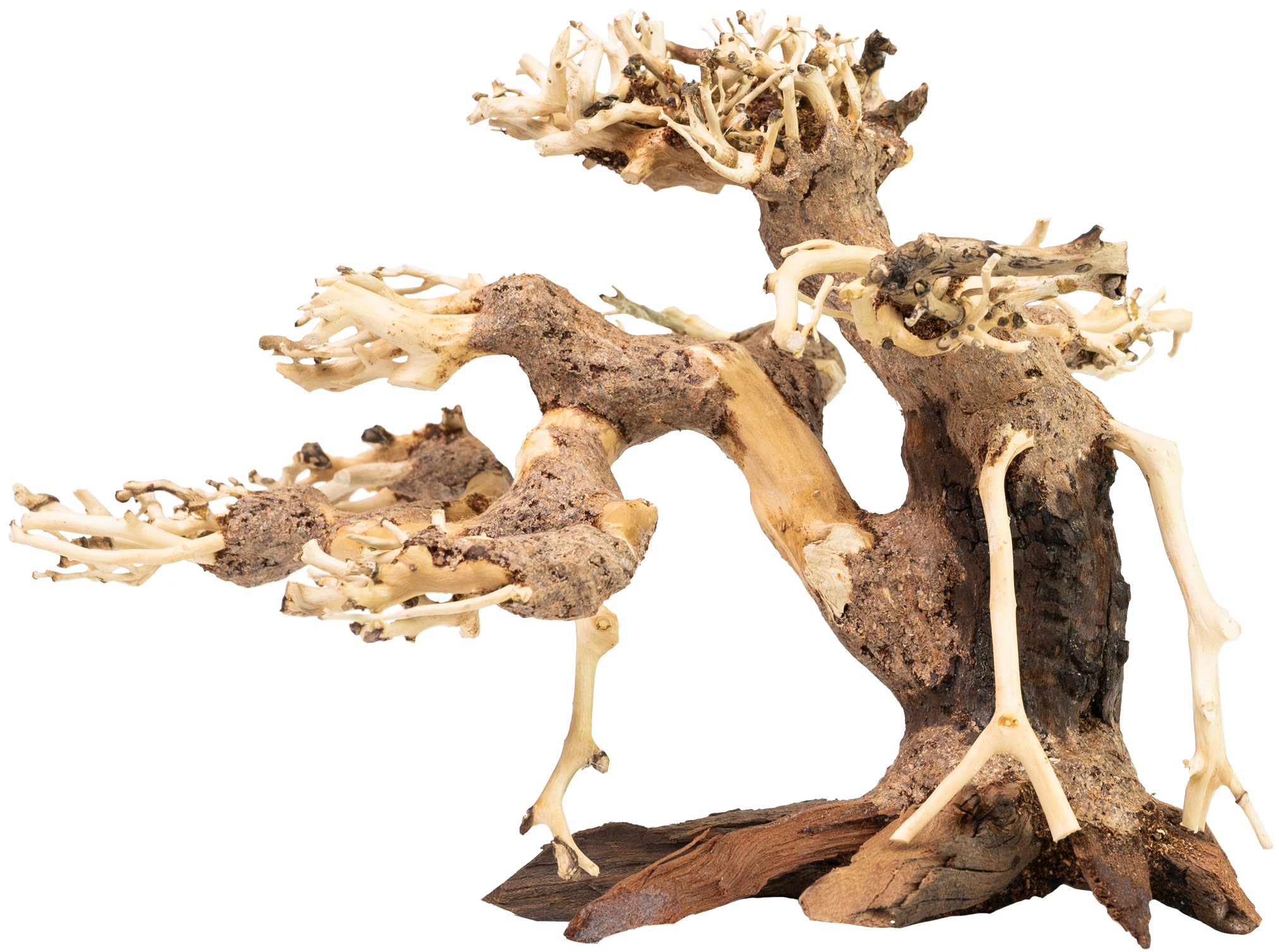 akvado-bonsai-han-kengai-tree-us-7538400100607_0.png