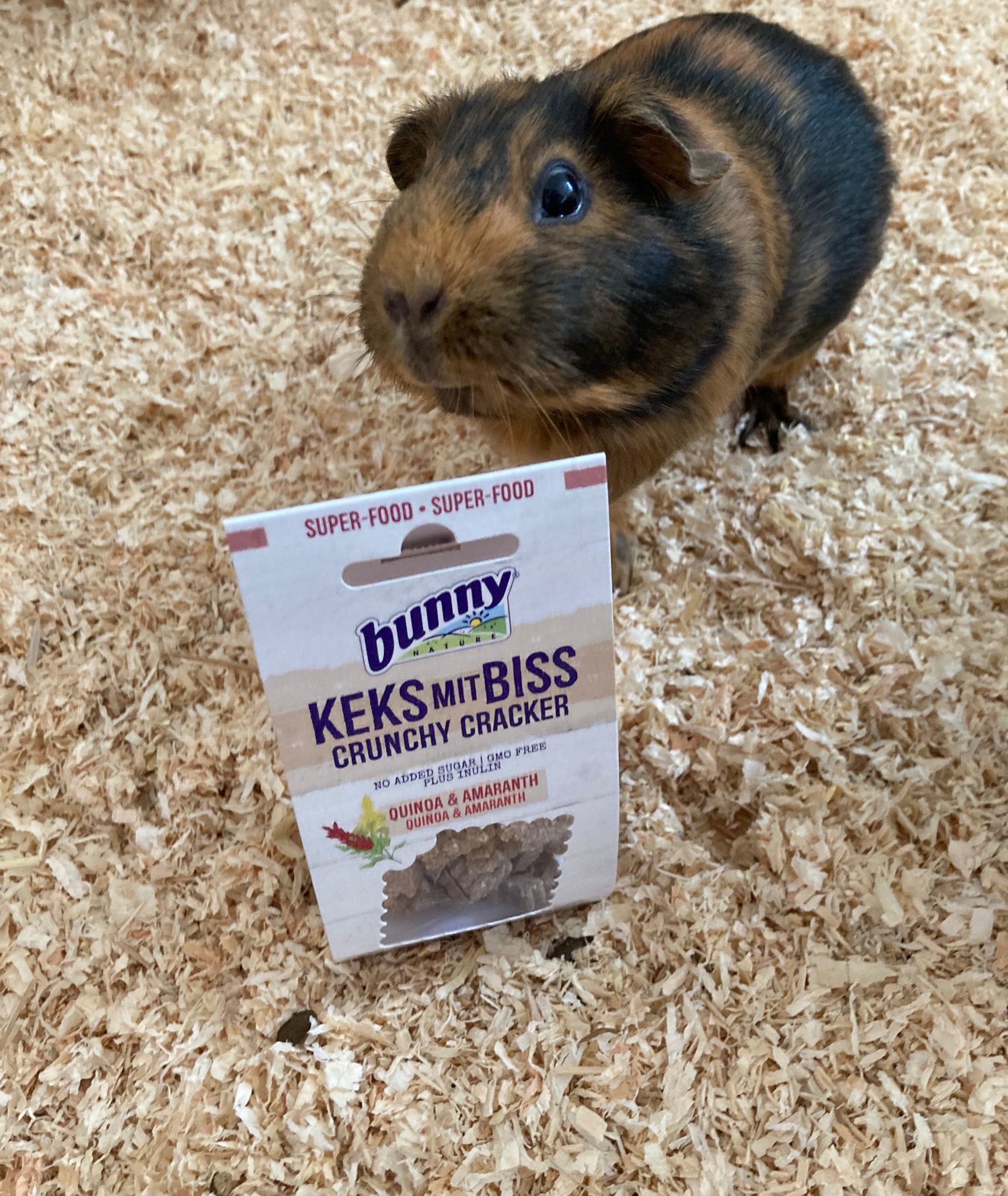 bunny-keks-mit-biss-quinoa-amaranth-50g-us-7577259933951_1.jpg