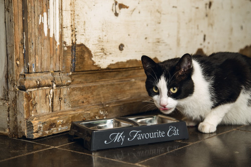 designed-by-lotte-doppelnapf-katze-us-7990738518284_2.jpg