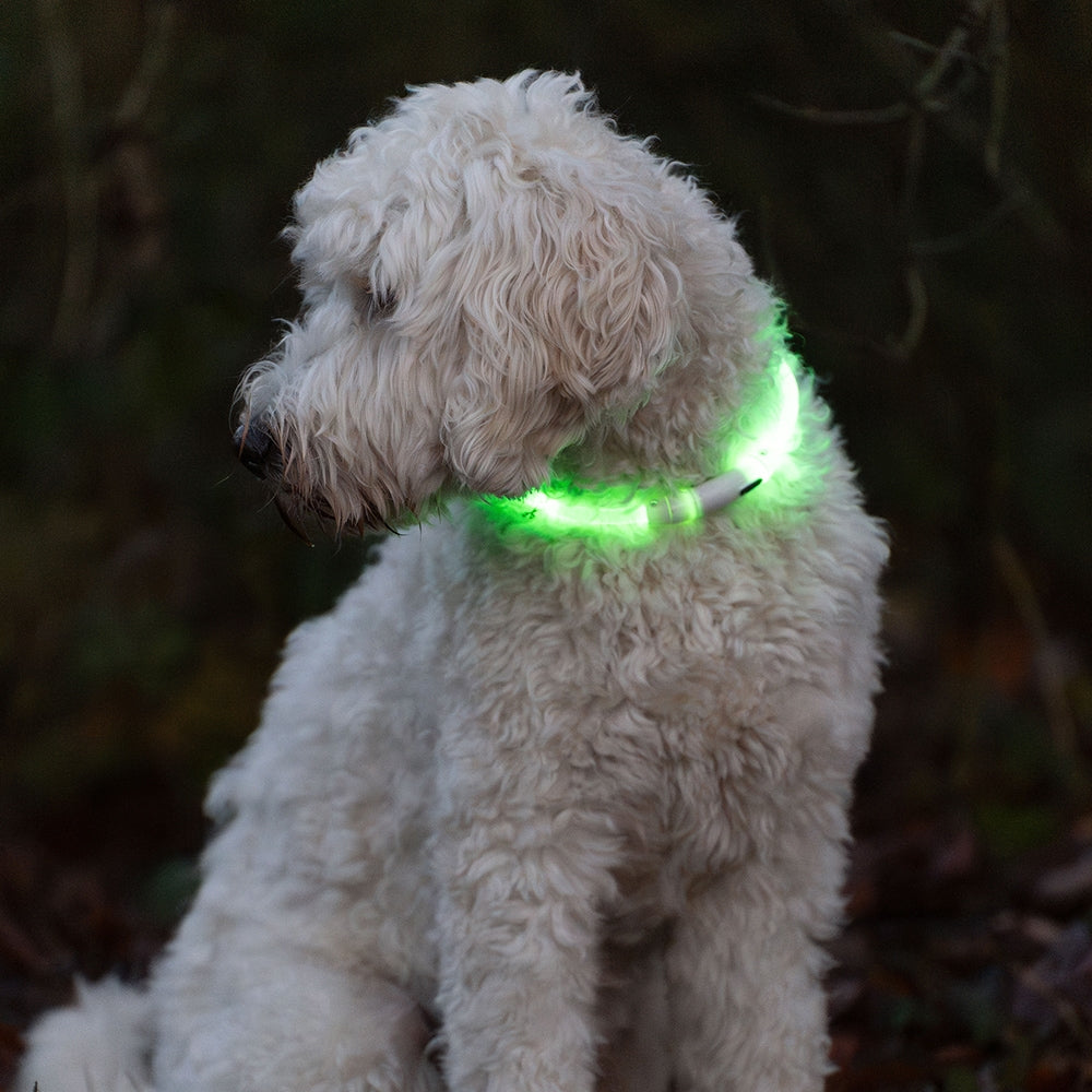 nobby-led-leuchtband-visible-us-8620891177228_3.jpg
